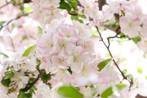 元大都遗址海棠花溪
