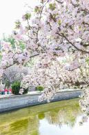 元大都遗址海棠花溪