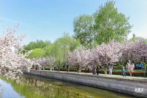 元大都遗址海棠花溪