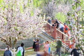 元大都遗址海棠花溪