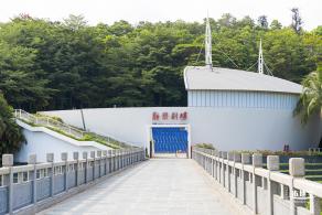 泰国樱花（园博园）