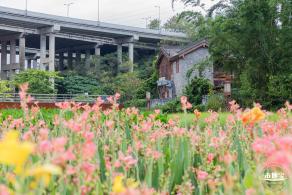甘坑都市田园