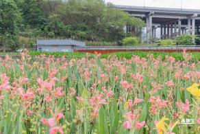 甘坑都市田园