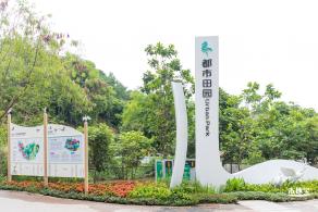 甘坑都市田园