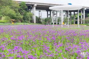 甘坑都市田园