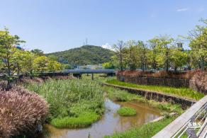 鹏飞公园