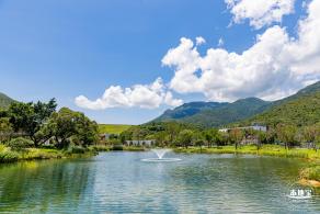 东涌红树林湿地园