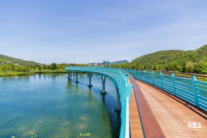 东涌红树林湿地园
