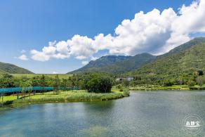 东涌红树林湿地园