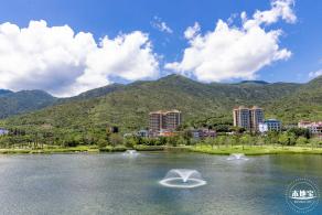 东涌红树林湿地园