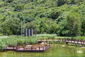 东涌红树林湿地园