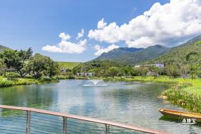 东涌红树林湿地园
