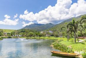 东涌红树林湿地园