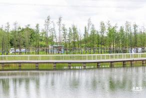 观湖中心公园