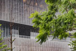 下雨