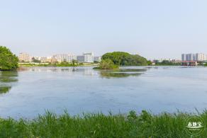 海上田园