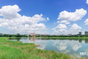 明湖城市公园