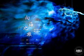 展览：向海之旅