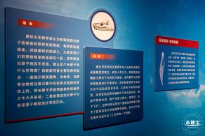展览：向海之旅