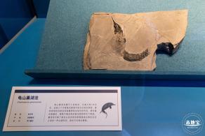 展览：向海之旅