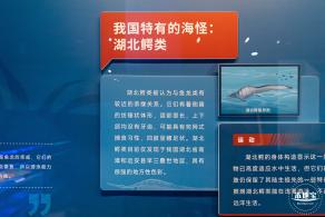 展览：向海之旅
