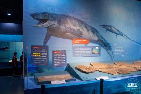 展览：向海之旅