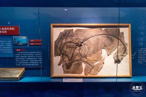 展览：向海之旅