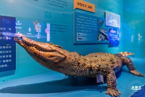 展览：向海之旅