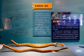 展览：向海之旅