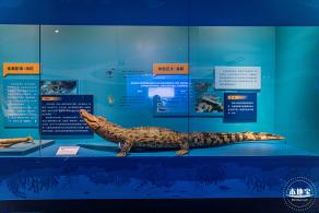 展览：向海之旅