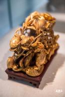 展览：金木交辉