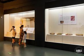 展览：金木交辉