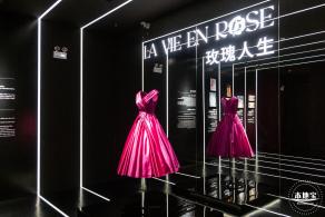 玫瑰幻境展