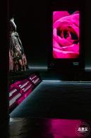玫瑰幻境展
