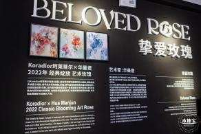 玫瑰幻境展