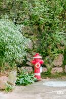 鹊山老村