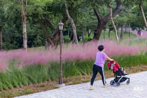 陌上花公园