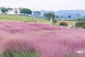 陌上花公园