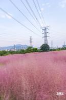 陌上花公园