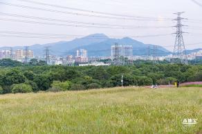 陌上花公园