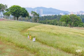 陌上花公园