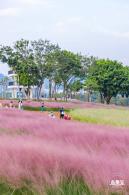 陌上花公园