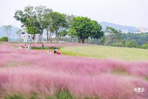陌上花公园