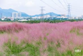 陌上花公园