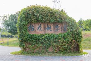 陌上花公园