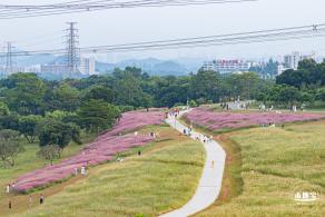 陌上花公园