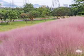 陌上花公园