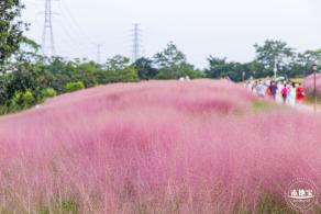 陌上花公园