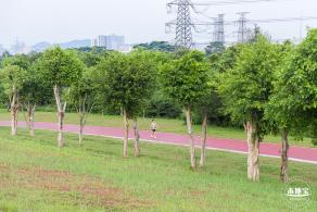 陌上花公园