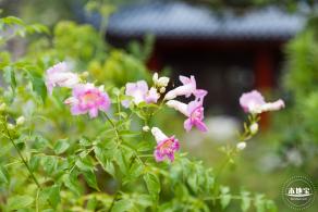 玉龙公园